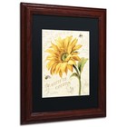 Trademark Fine Art Under The Sun Ii Black Wood Frame 11x14