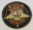 Vintage Gwinnett County Georgia Sheriff Patch Unused