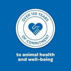 Kaytee Corn On The Cob Food For Wild Squirrels Rabbits Chipmunks And Other Ba   