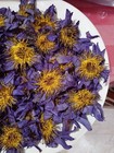 100g Blue Lotus Flower  nymphaea Caerulea  Dried Organic Flowers Egyptian Tea