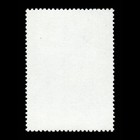 Aitutaki  Scott 338  Bird  1984  Used  119249