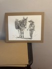 Original Pencil Art Sketch Donkey And Boy Signed And Coa By Tammi Vaughan
