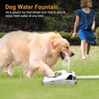 Pet Water Fountain Outdoor Dog Step On Pedal Valve Dispenser System Clean Fresh
