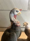 Austin Nichols 1983 Flying Wild Turkey Eagle Large Decanter No 4 Limited 