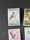 Antigua Birds - Scott  587-590  591 Souvenir Sheet - Mint  Hinged   Stk kr