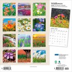 Wildflowers   2026 12x24   hanging  Monthly Square Wall Calendar