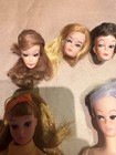 Vintage Barbie Bild Lilli Type Clone Doll Lot Heads Body