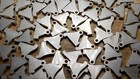 Taurus Tx22 Trigger Upgrade V2 Rounded Reset 316 Stainless