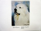 New Great Pyrenees Dog Magnetic Refrigerator List Pad By Artist Ruth Maystead