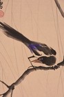 Chinese Hanging Scroll Art Painting  bird And Tree  Xubeihong Asian Antique