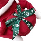 Christmas Dog Hoodie Costume - Pet Gift Carrying Style Coat