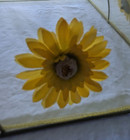 Set Of 2 Floral Mesh Food Covers Picnic Bug Tents Spring Decor