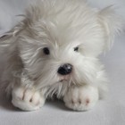 Russ Berrie Yomiko Classics Sheep Dog Puppy Plush Stuffed Toy Laying Down