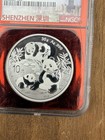 2025 First Release China Silver Panda Coin Ngc Ms70 30g Red Core Shenzhen Mint
