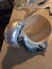 Large Vintage Mother Of Pearl Turbo Marmoratus Seashell Turban Shell 6 1 2   