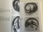 Burne Hogarth Dynamic Drawing Series - Drawing The Human Head