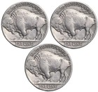 Buffalo Indian Head Nickel Lot  3  Coins With Full Dates - Native American Lot 