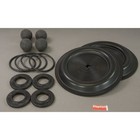 Dayton 22a617 Pump Repair Kit  Fluid  1 In   For 3hjx2