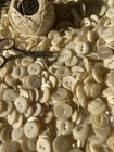100 Vintage antique Mother Of Pearl Button Lot Shell Mop Victorian