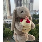 12inch Jelly cat Bashful Beige Bunny Birthday Bunny Stuffed Animal Toy With Tag
