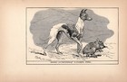 Antique Whippet Print 1912 Moore Ch Enterprise Whippet  Wall Art Decor 4808g