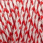 200lbs 1000ft Braided Dacron Polyester String Cord Spool Kite Line For Kite Flyi