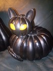 2 Members Mark Black Cat Pumpkins Orange Flickering Eyes Led Excellent Condition
