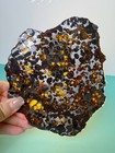 121 08grams  Sericho  Pallasite Meteorite Slice  With Certificate