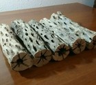 5 Thick Pieces Of 6  Inch Cholla Wood Cactus   Fish  Shrimp Aquarium   Crafts 