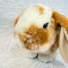 Webkinz Signature Lop Rabbit Butterscotch Plush Stuffed Animal Ganz Pre-owned
