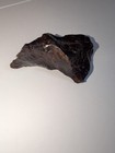 90 9 Gm   Canyon Diablo Iron Meteorite   Awesome Shape  Arizona Stand 