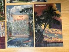 Lot Of 6 Vtg Florida Postcards Uncirculated Color Tone  Linen See Curt Teich