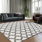 Luxury Area Rug 6x9 Feet Shag Rugs For Living Room  High Pile Fluffy Carpet 