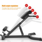 New Roman Chair Back Extension Hyperextension Bench Adjustable Foldable