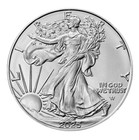 The United States Mint Fine Silver Coins American Silver Eagle 2025 Lot Of 10