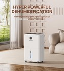 5500 Sq Ft 80 Pint Dehumidifier For Basement Home Large Room W  Drain Hose  Auto