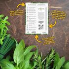 Herb Seeds Variety Pack Culinary Herb Collection  12 Individual Herbs For P