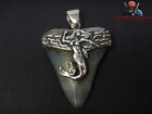 Real Fossil Great White Shark Tooth Necklace 925 Sterling Silver Pendant Teeth