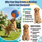 Heavy-duty Herding Ball For Medium   Large Dogs  Perfect For Pushing   Chasing