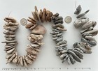 75 Adder Holey Beach Rocks Hag Stones Fairy Lucky Wish Magic Natural  n1 Usa