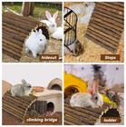 Rabbit Bridge Wooden Hamster Climbing Tunnel Bunny Extra Large Ladder Wood Fl   