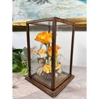 Vintage Taiwan Glass Display Case Bird   Orange Roses Wood Frame Diorama