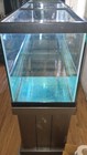 160 Gallon Trimmed Salt Water Aquarium With Stand