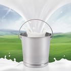 14l Stainless Steel Milk Pail Bucket With Lid Milk Can Wine Pail Bucket New