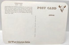Old West Collectors Series Postcard Geronimo 1829  - 1909 Unposted