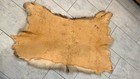 Vintage Whitetail Deer Hide Rug 47  X 30  - 8 Point Buck Tanned Pelt Cabin Decor