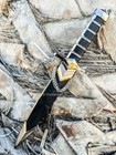 14  Dark Assassin Sword Dagger Abs Stainless Steel Fixed Blade Fantasy Knife