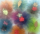 Dog Bows Pet   Dog Grooming Rounds Fall Top Knot Ear Qty 20