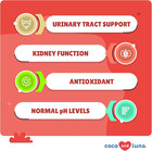 Cranberry For Dogs - 120 Chewable Tablets - Urinary Tract Health  Bladder Suppor