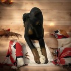Vintage Universal Statuary Doberman Pinscher Dog Bone Statue Figurine 16 5 